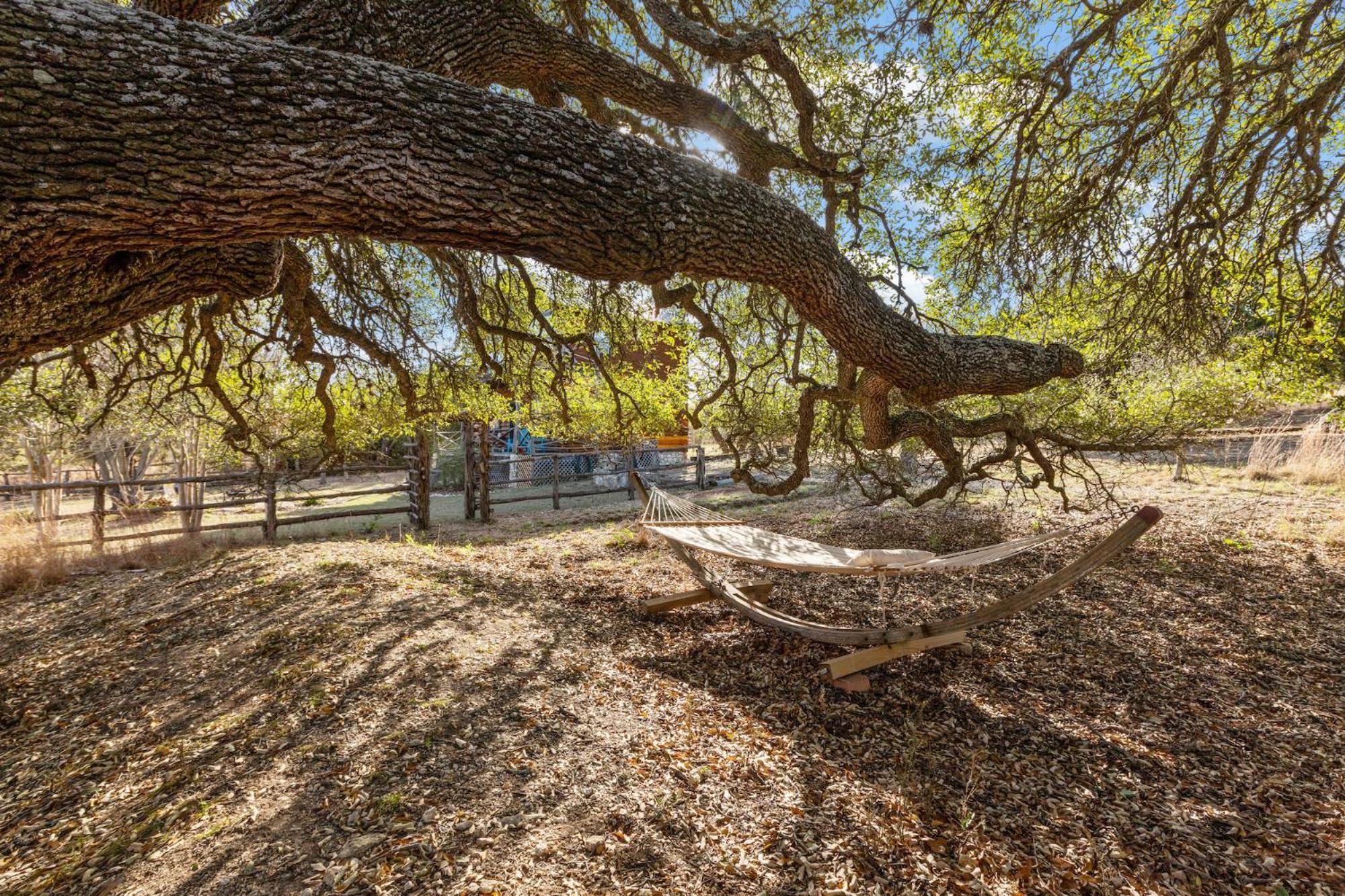 Mighty Oak Log Fredericksburg